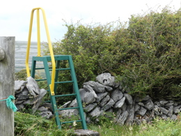 Photo of a stile over a rock wall, this particular style is nicely painted green metal with a yellow hand rail
