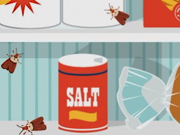 Cartoonish image of kitchen shelf with salt tub, moths flying around