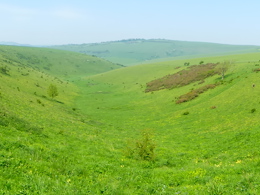 Panoramic landscape shot of the South Downs in Lewes