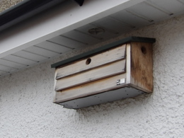 A nesting box installed on a house wall under the gables