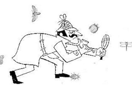Cartoonish Sherlock Holmes-esque character holding a magnifying glass, with insects surrounding them